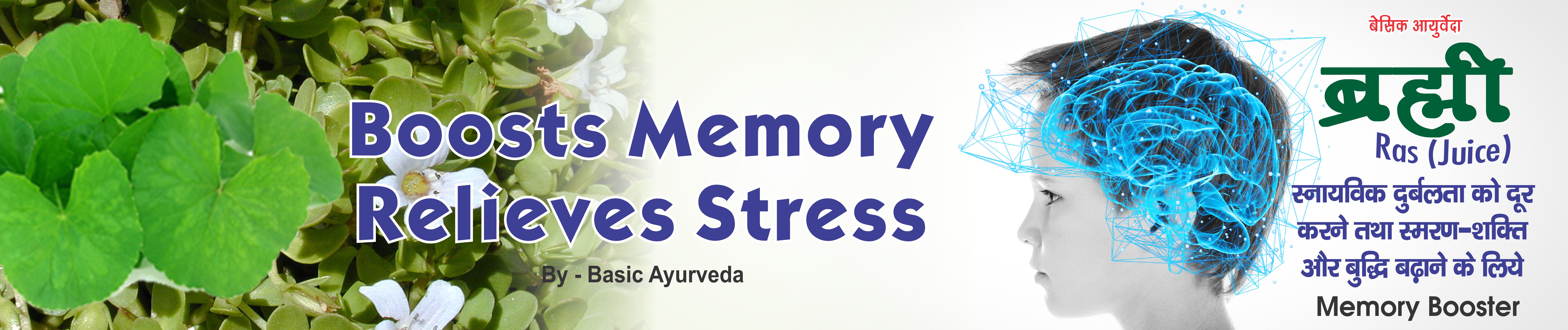 Brahmi Ras (Juice) Memory Booster